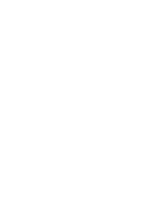 Pigeons at Play